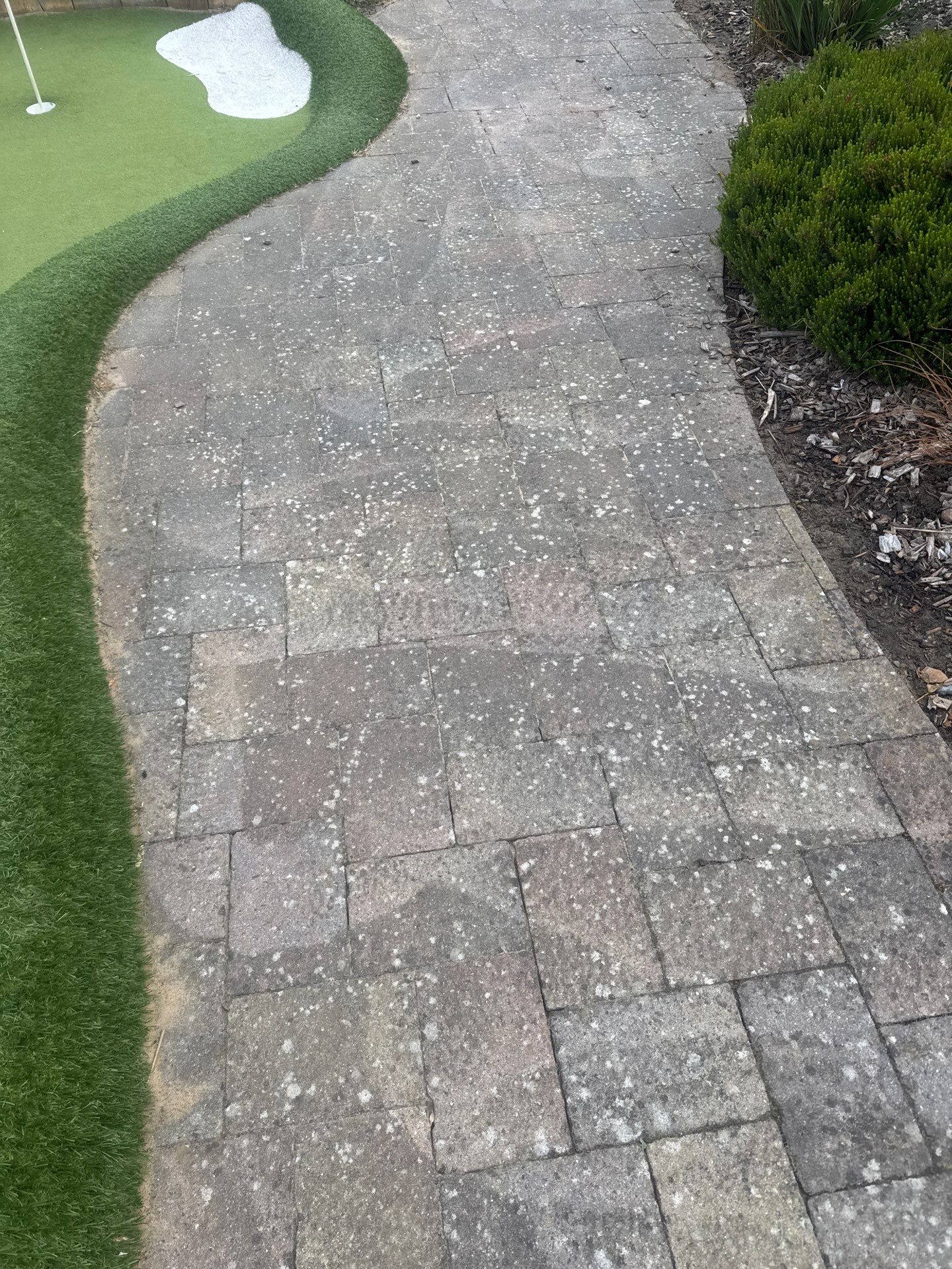 Adventure Golf Course Clean by Ges Exterior Cleaning ltd