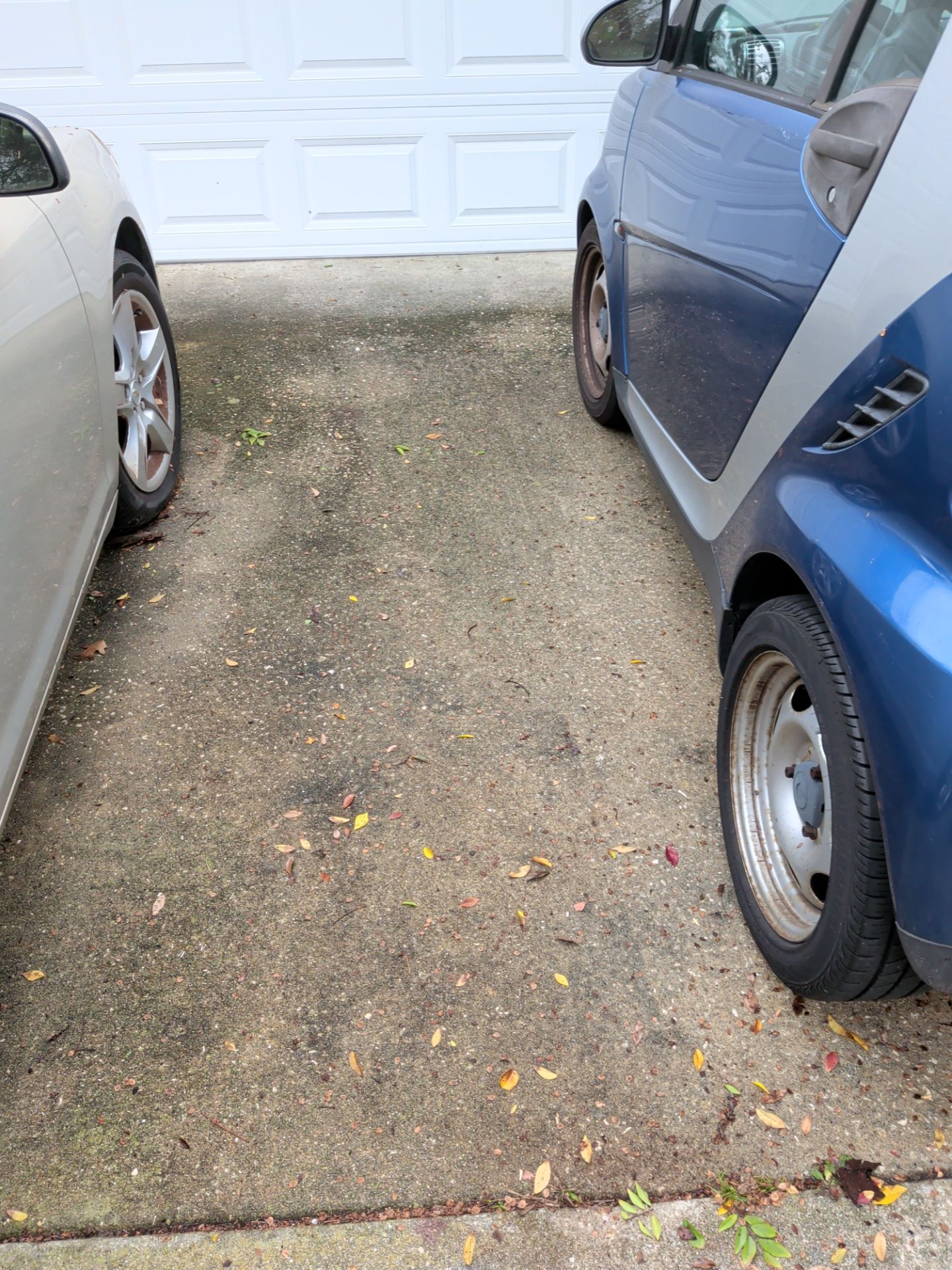 Pressure Washing/Soft Wash & Lawn Care Service — Jacksonville Beach Area by Harmoni Home Services