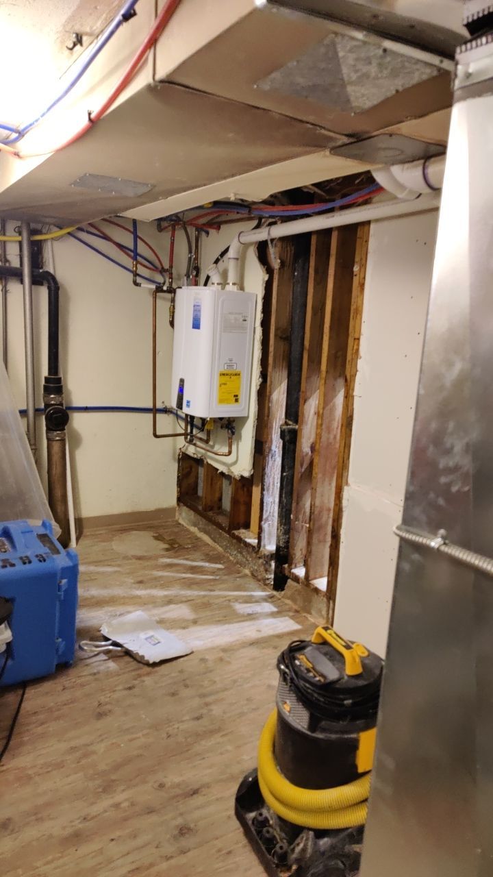 Mold Remediation by Accountable Home Services