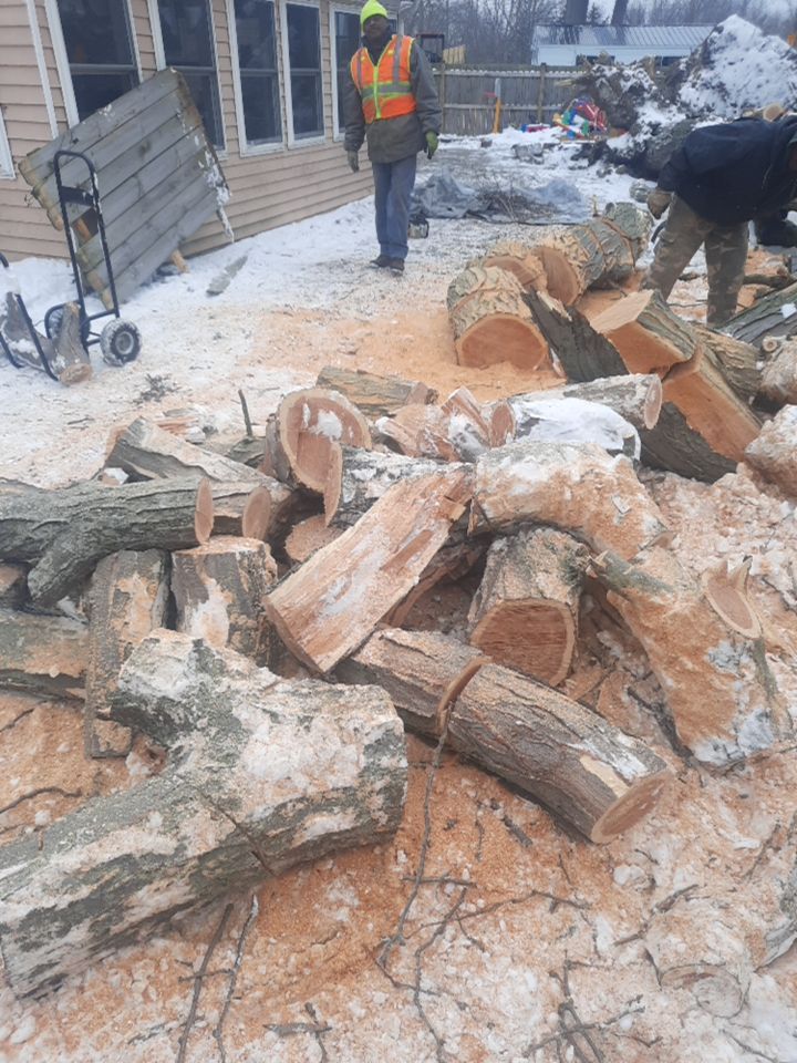 Storm Damaged Tree Removal  using Tree Removal by Mike Jones & Sons Tree Service LLC 