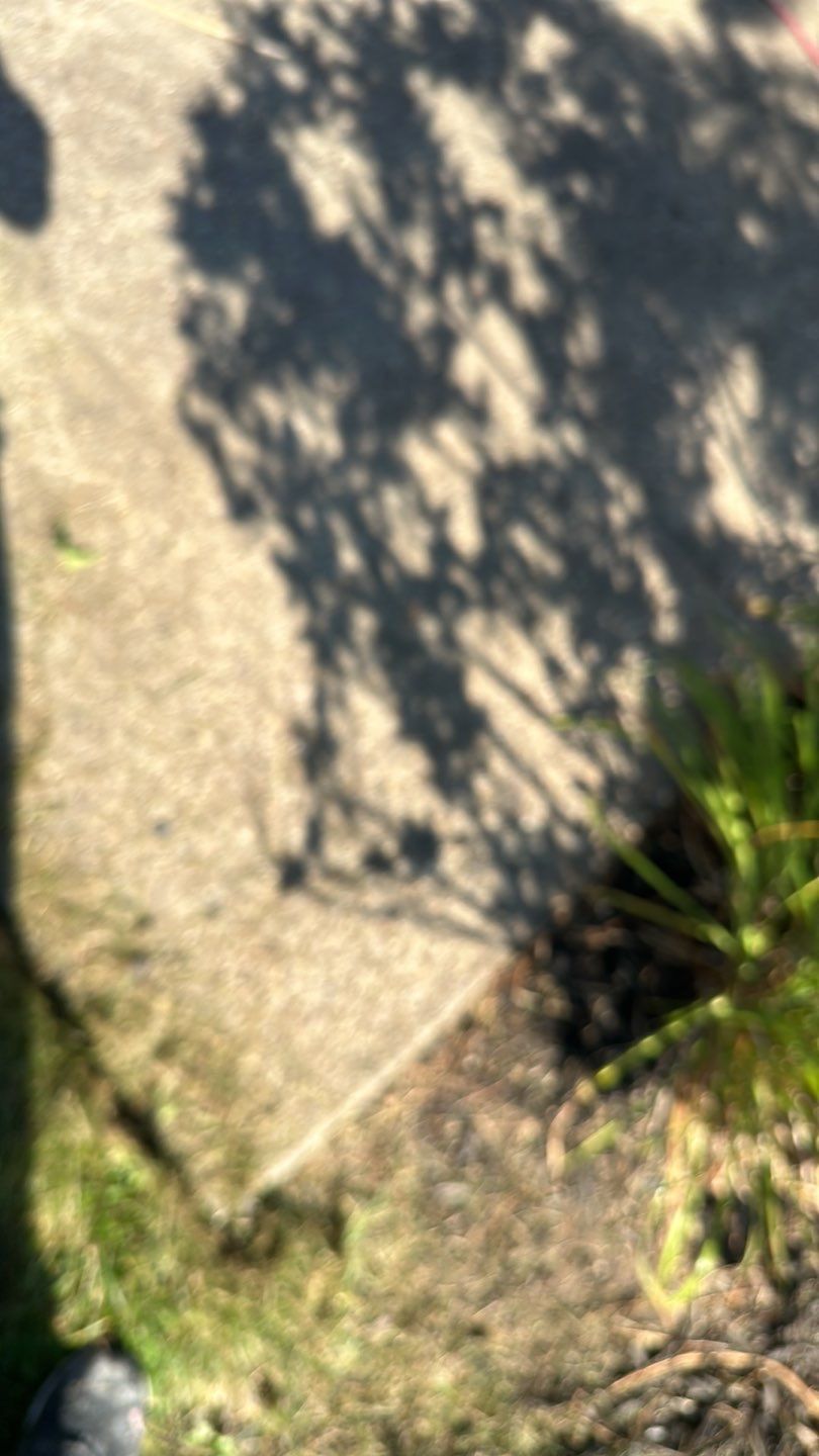 Patio Project in Valencia by Floors in a Day, Inc