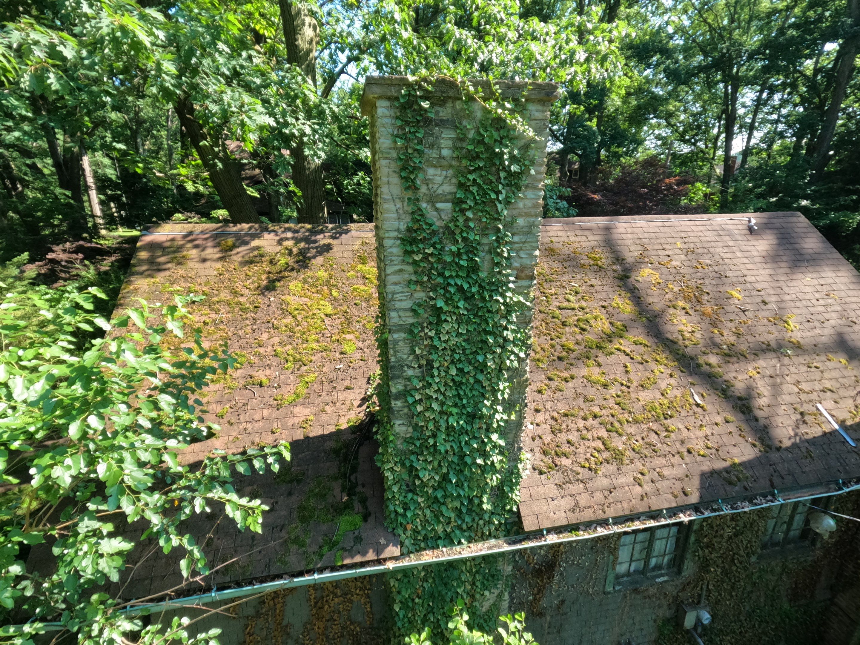 Residential Roof Replacement using Owens Corning Duration Designer, Aged Copper by Absolute Roofing and Construction