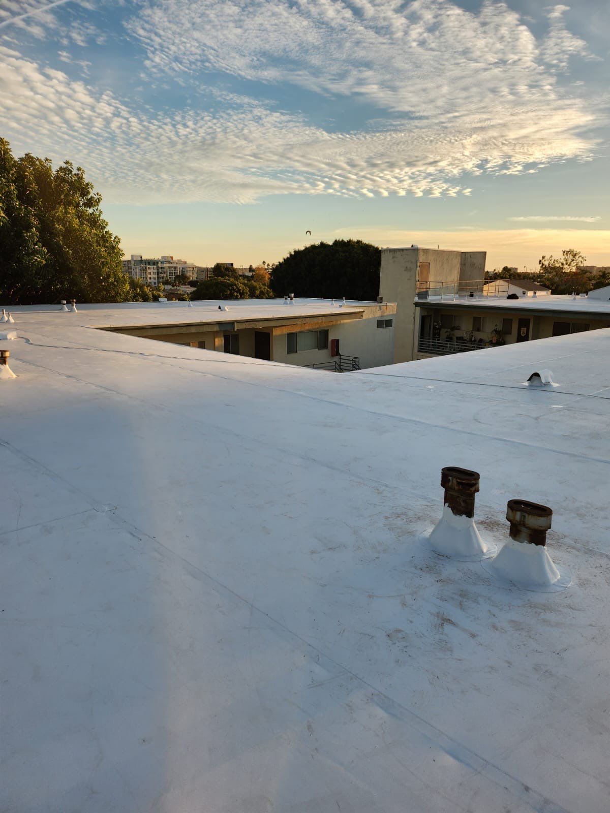 Project in Los Angeles by T&G Roofing