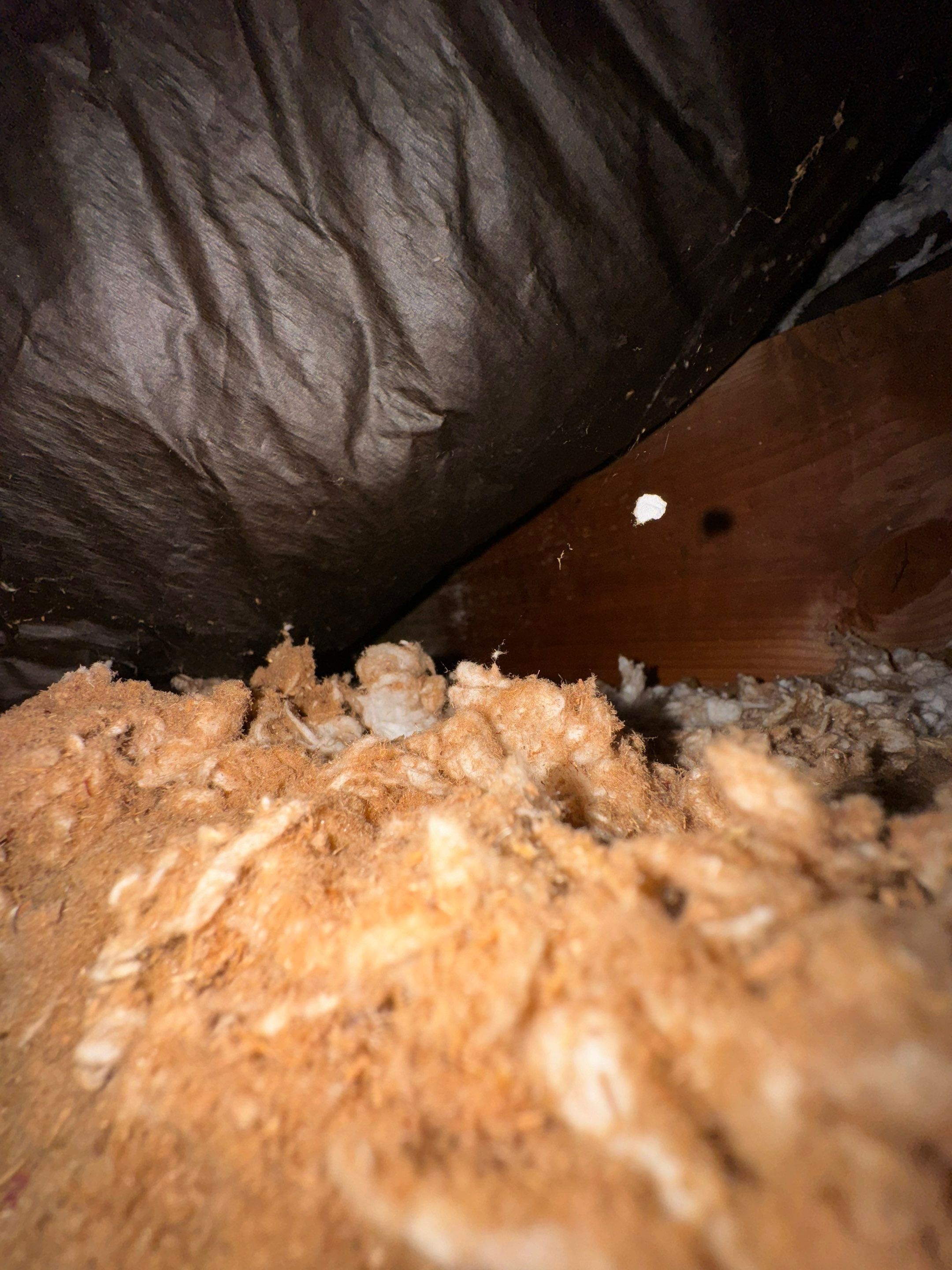 Bedroom Mold Remediation by Home Guarantee, LLC