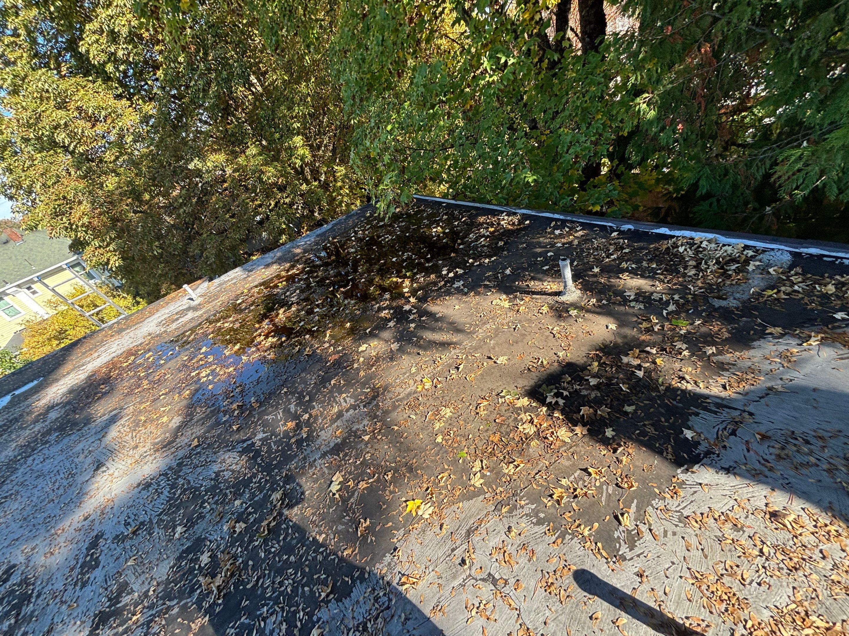 Project in Portland by Peak Exteriors LLC