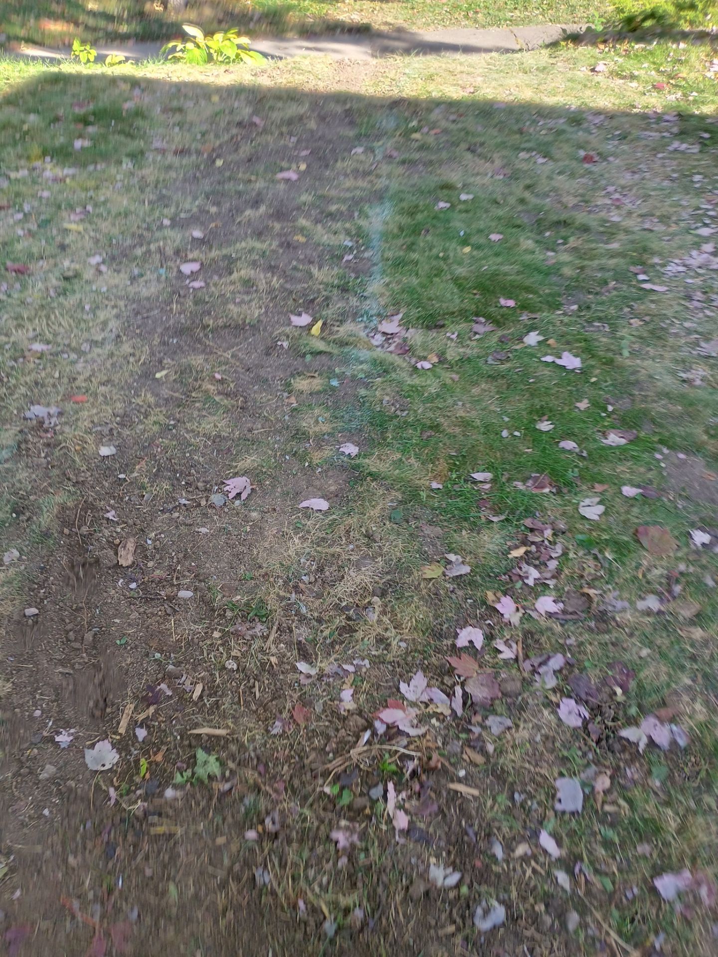 French Drain Installation for Michael by Waterproofing Northeast