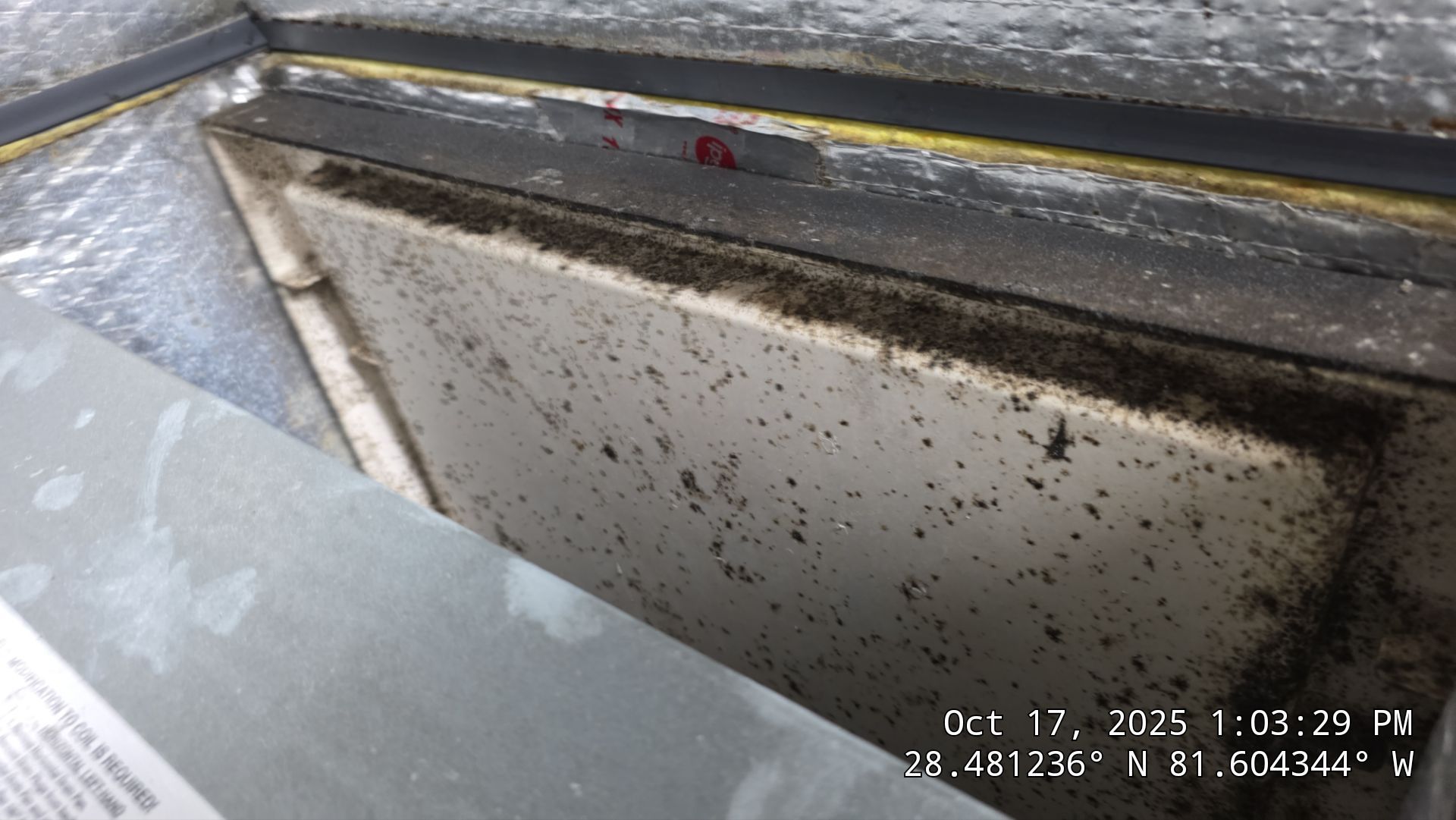 AIr Duct and Dryer Vent Cleaning in WInter Garden by Hygienic Air, Inc