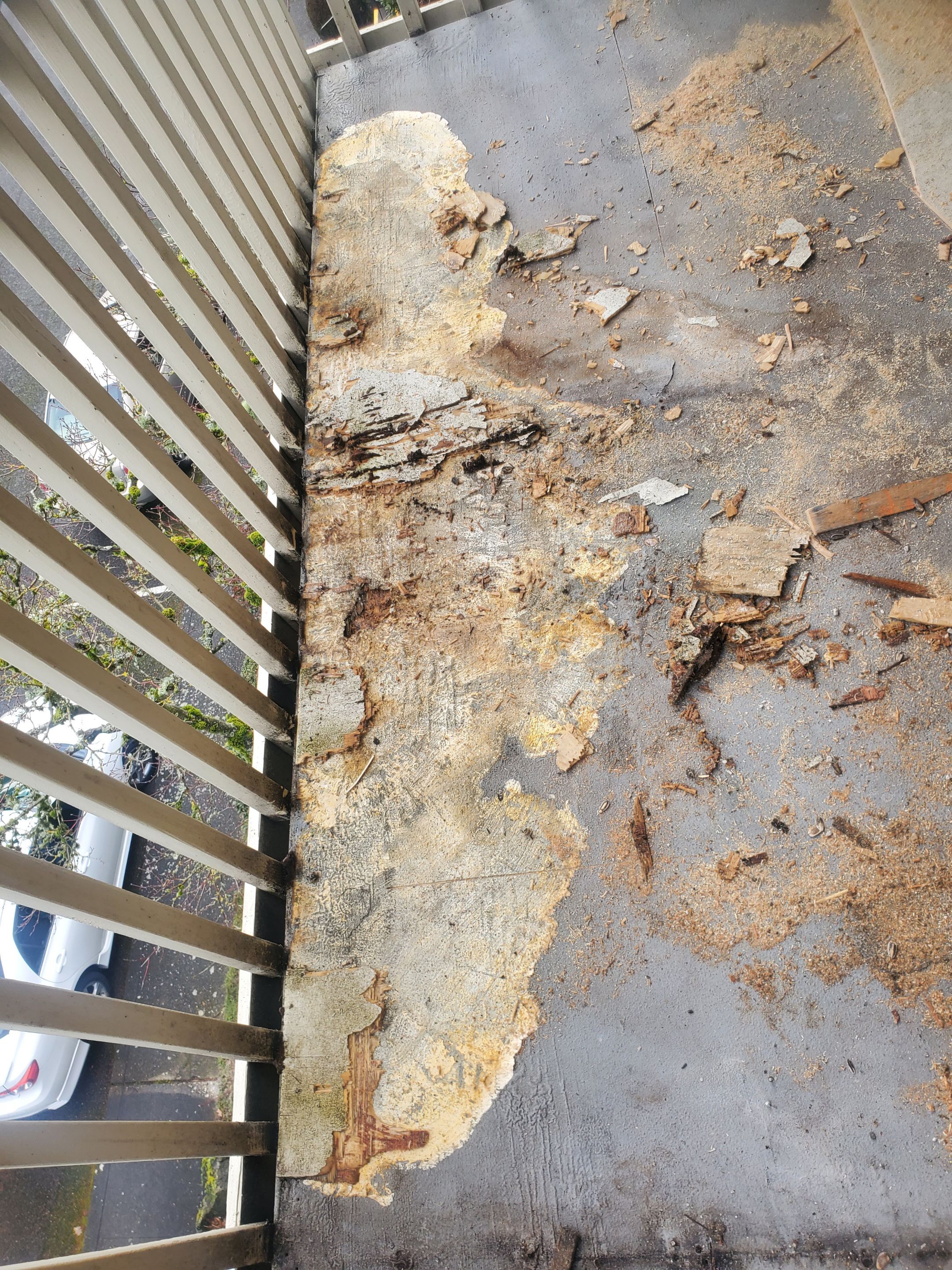 Deck Remove /Repair/Install by Construction Now LLC