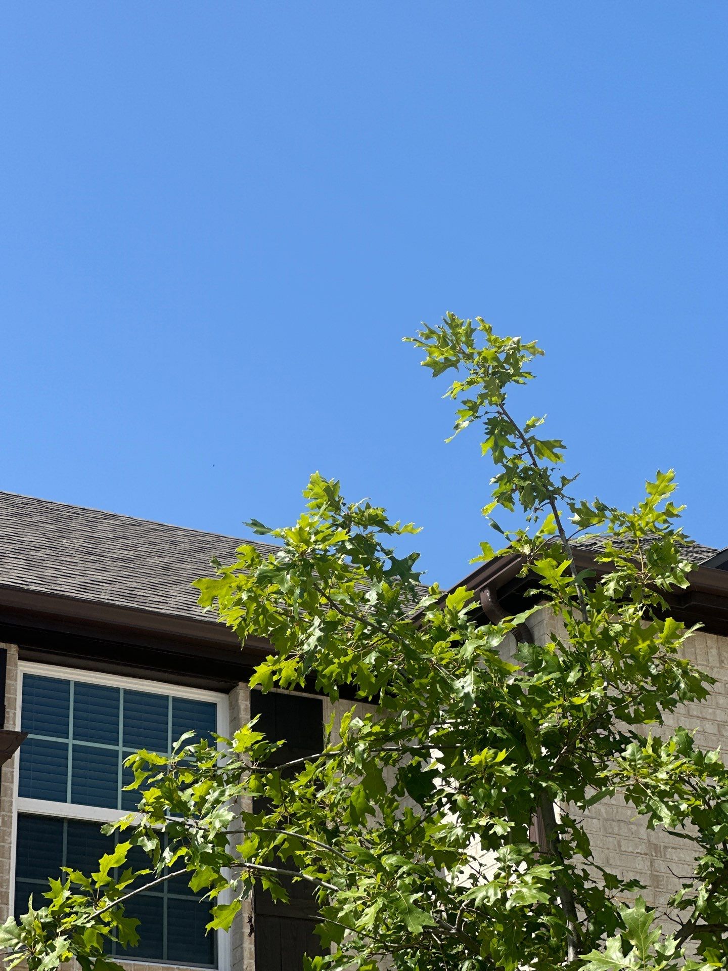 Project in Wylie by Rhino Roofing and General Contracting, LLC