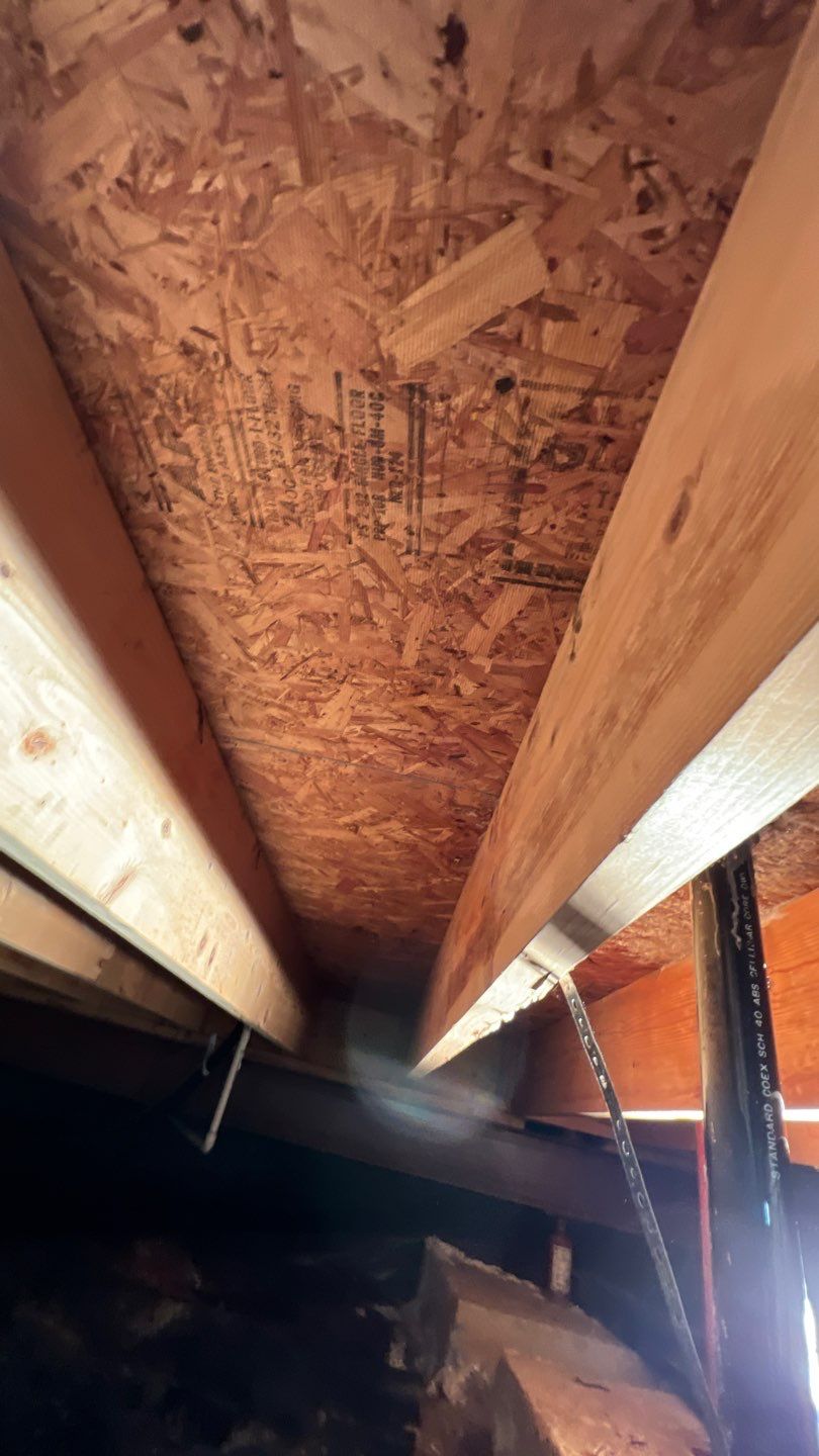 Mold Damage by Accountable Home Services