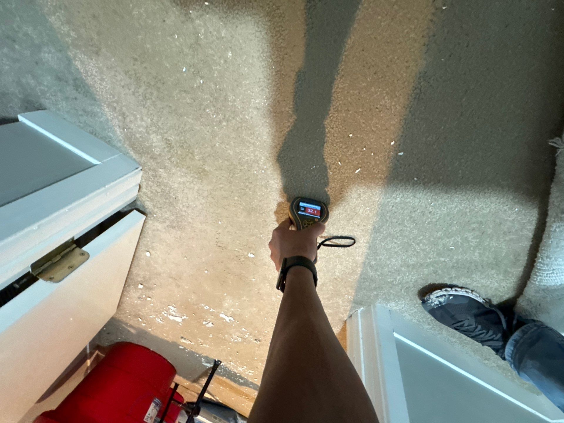 Project in Novi by EzDry Water Mitigation & Property Restoration