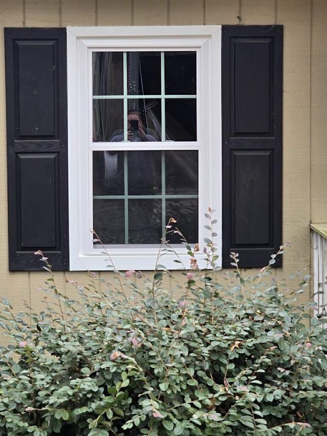 Copeland Project in Talladega by The Window Source