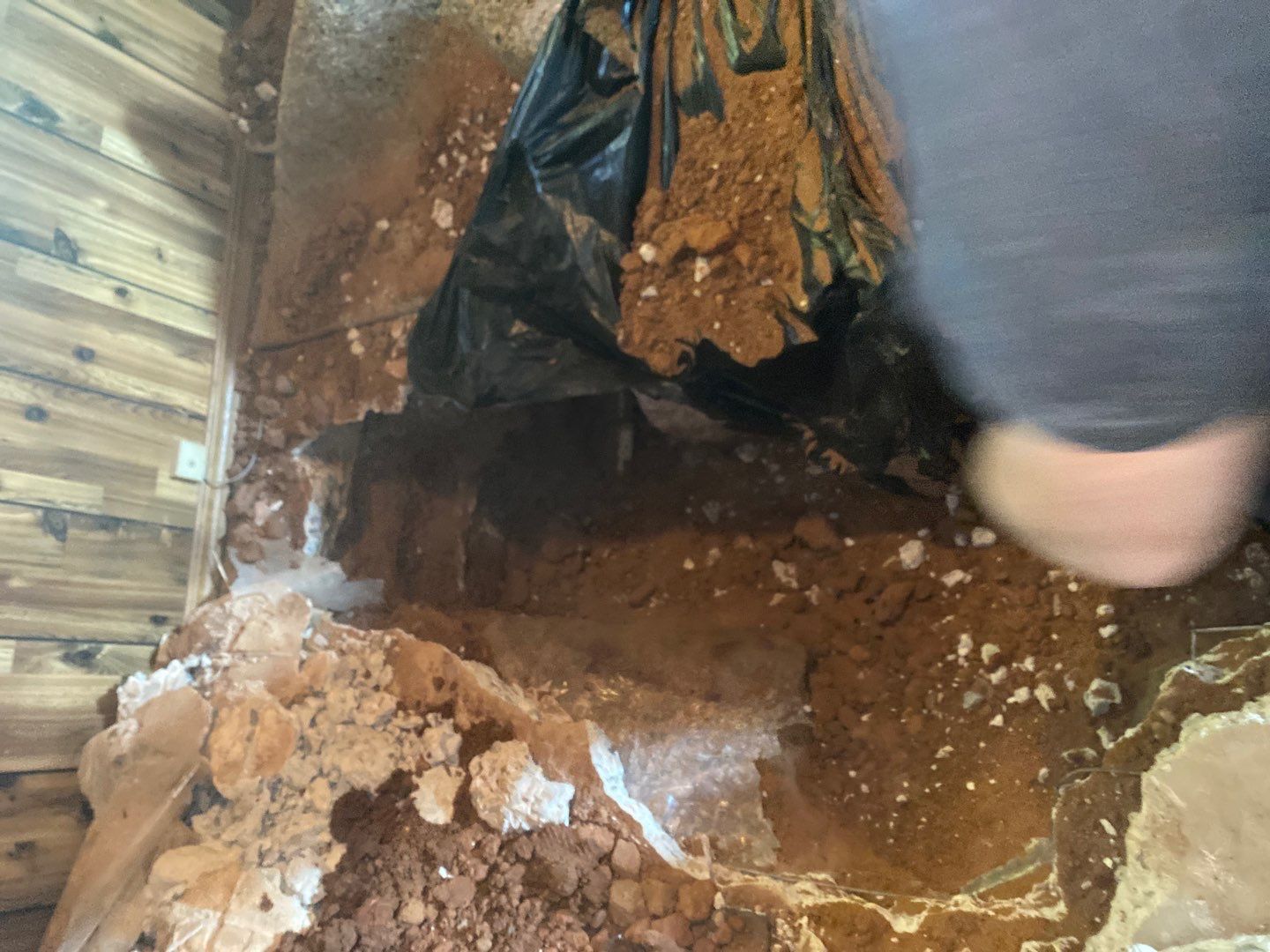 Project in Newcastle by PRO-ROOTER
