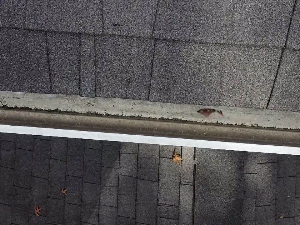 Project in  Richmond by Roof Maxx of Midlothian