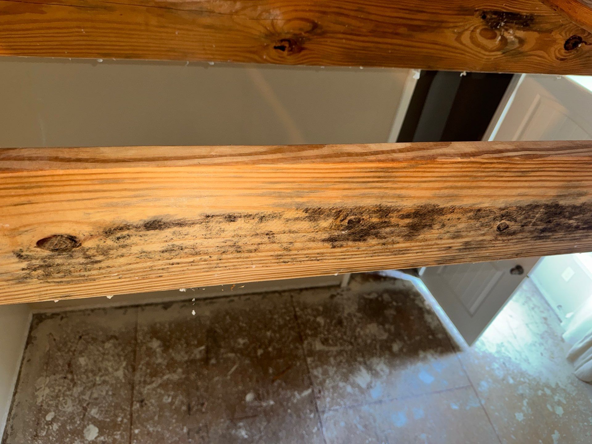 Mold Remediation Job in Katy by Team Home Solutions