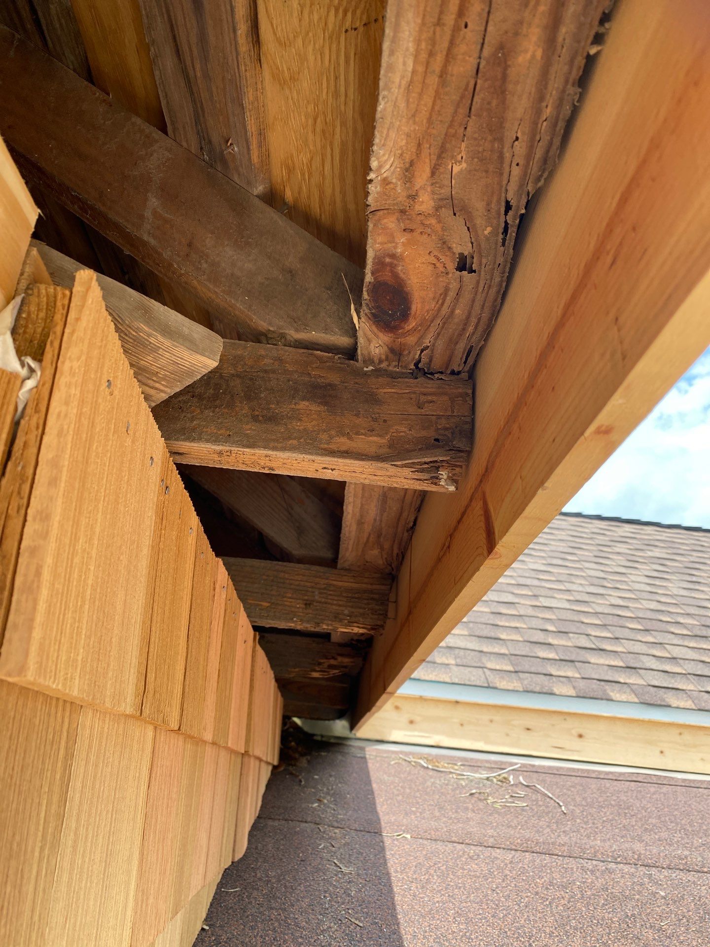 Harritage Park Remodel by Bayfront Roofing and Construction