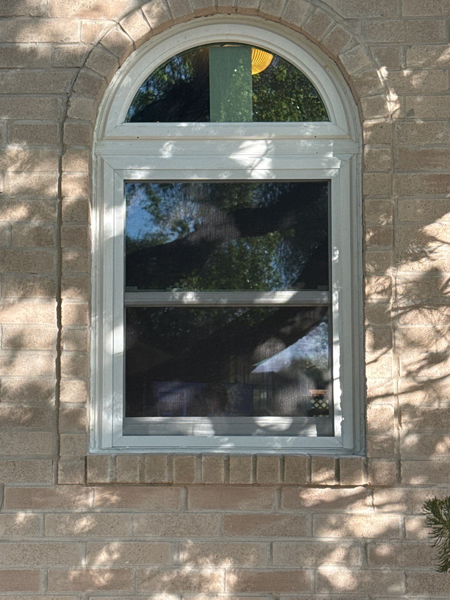 Make that Green, Baby! by Bayfront Roofing and Construction