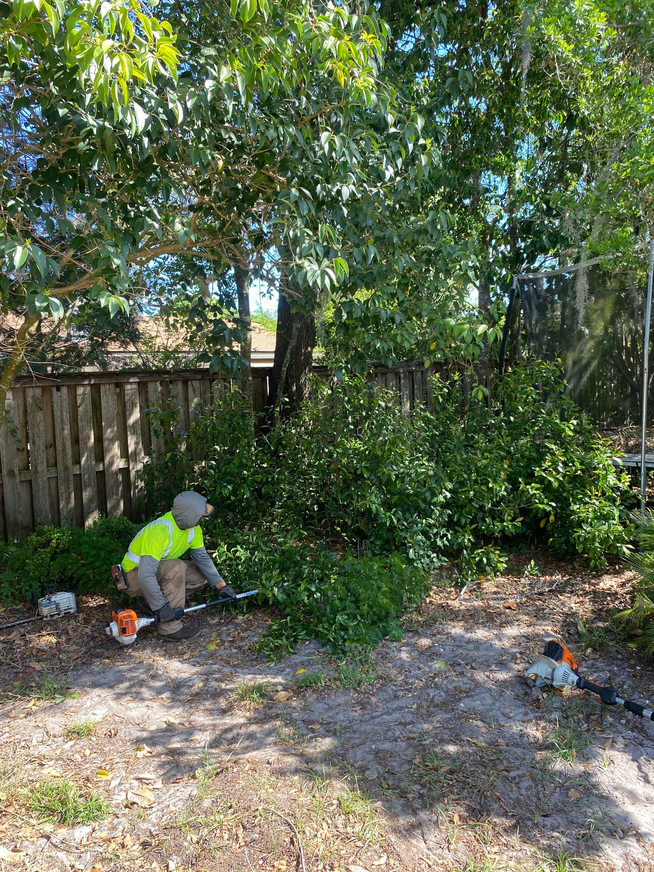 Residential | Tree Removal & Trimming by ProGreen Services
