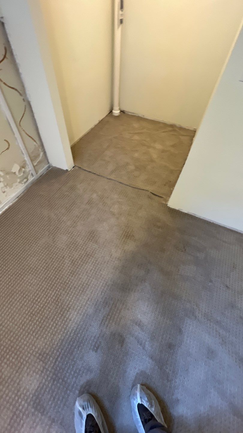 Mold Remediation by Accountable Home Services