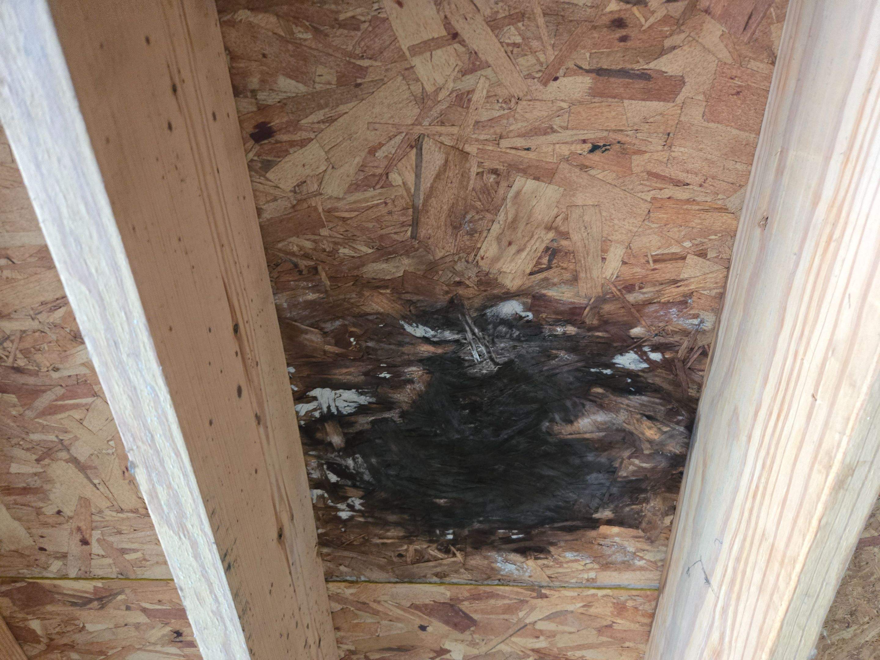 Residential Flat Roof Reconstruction & Substrate Repair by Level Up Roofing and Restoration Services LLC