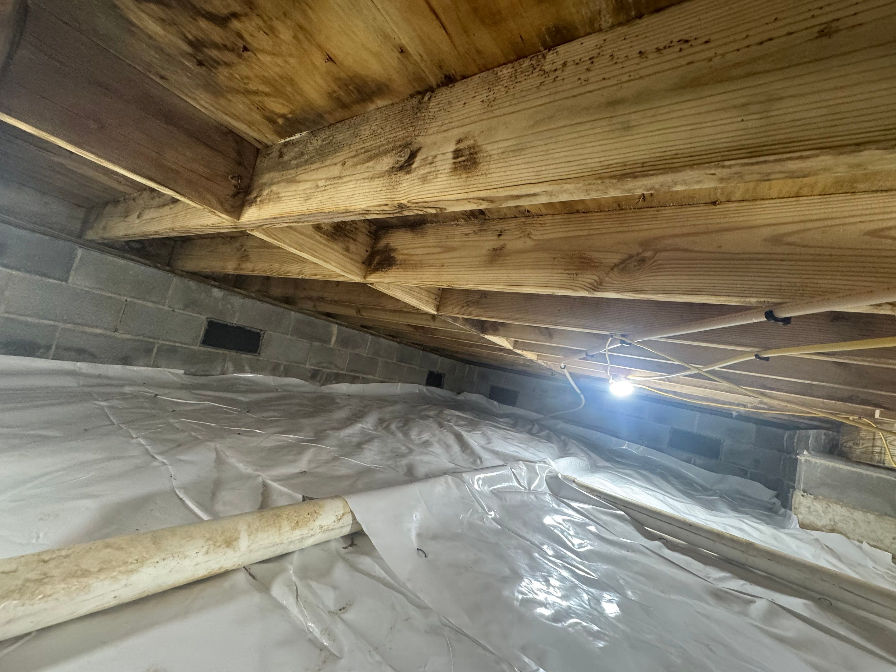 Project in Suffolk by Patriot Crawl Space Repairs