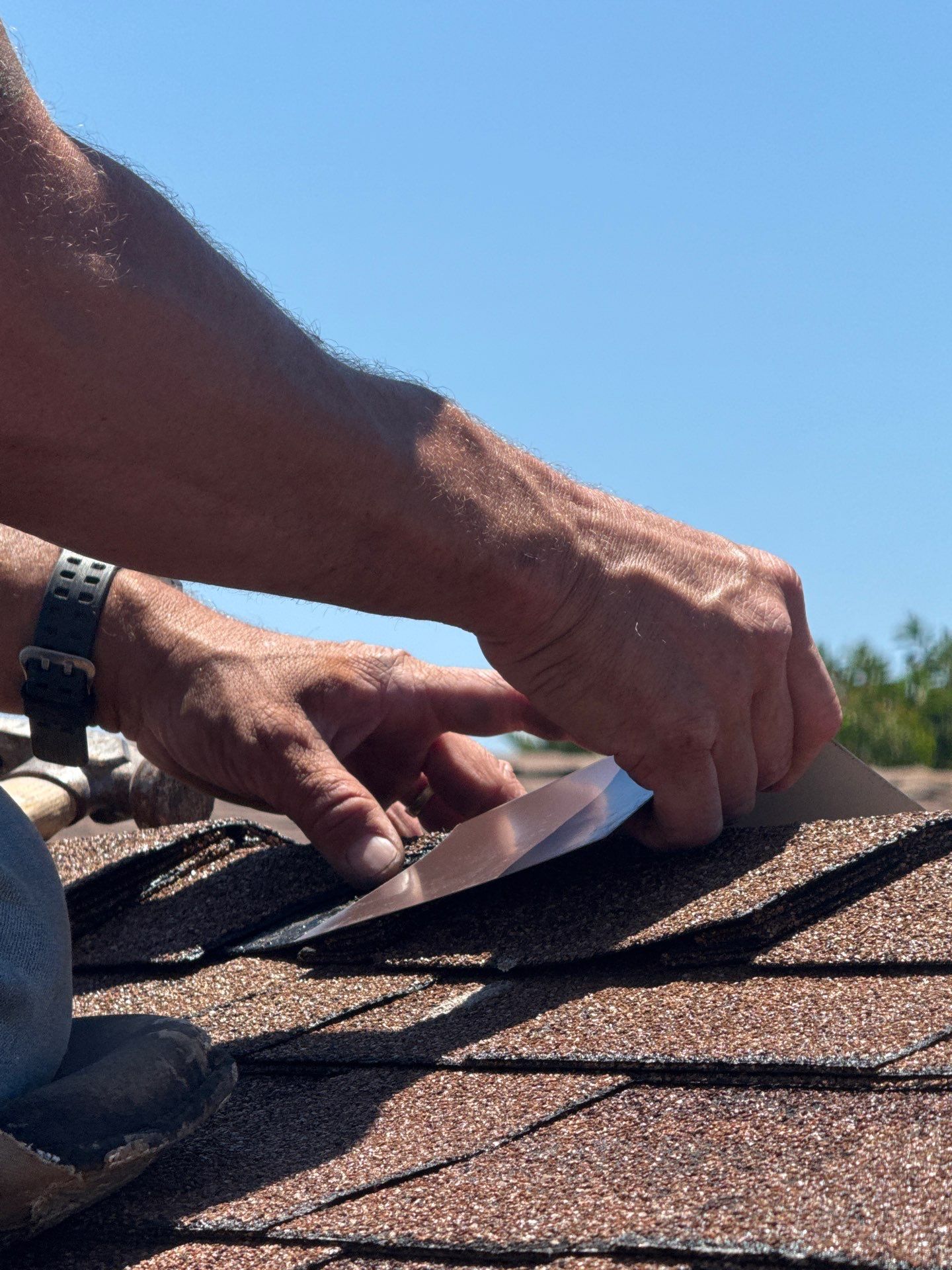 Asphalt Shingle Roof Rejuvenation and Vent Sealing in San Diego by Reliable Roofing San Diego Inc.