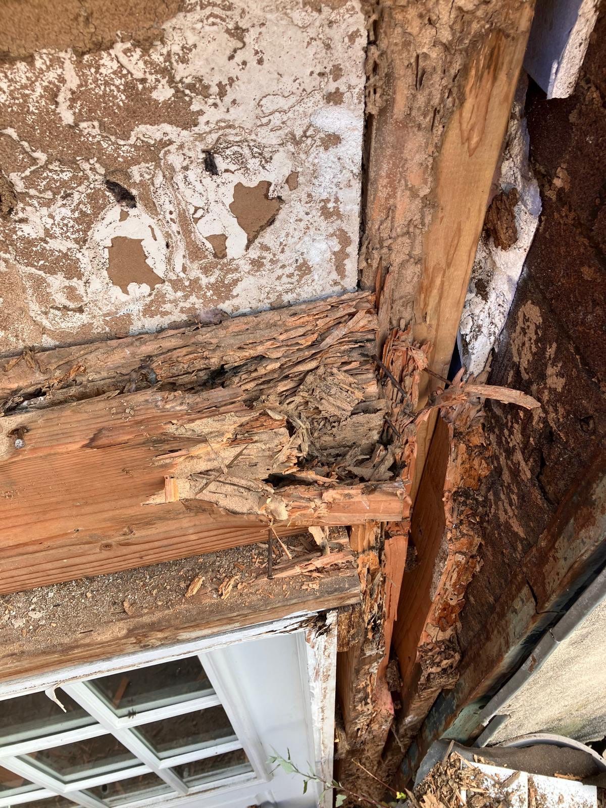 Back Wall Siding Replacement & Breezeway Roof. by Philadelphia Quality Roofing