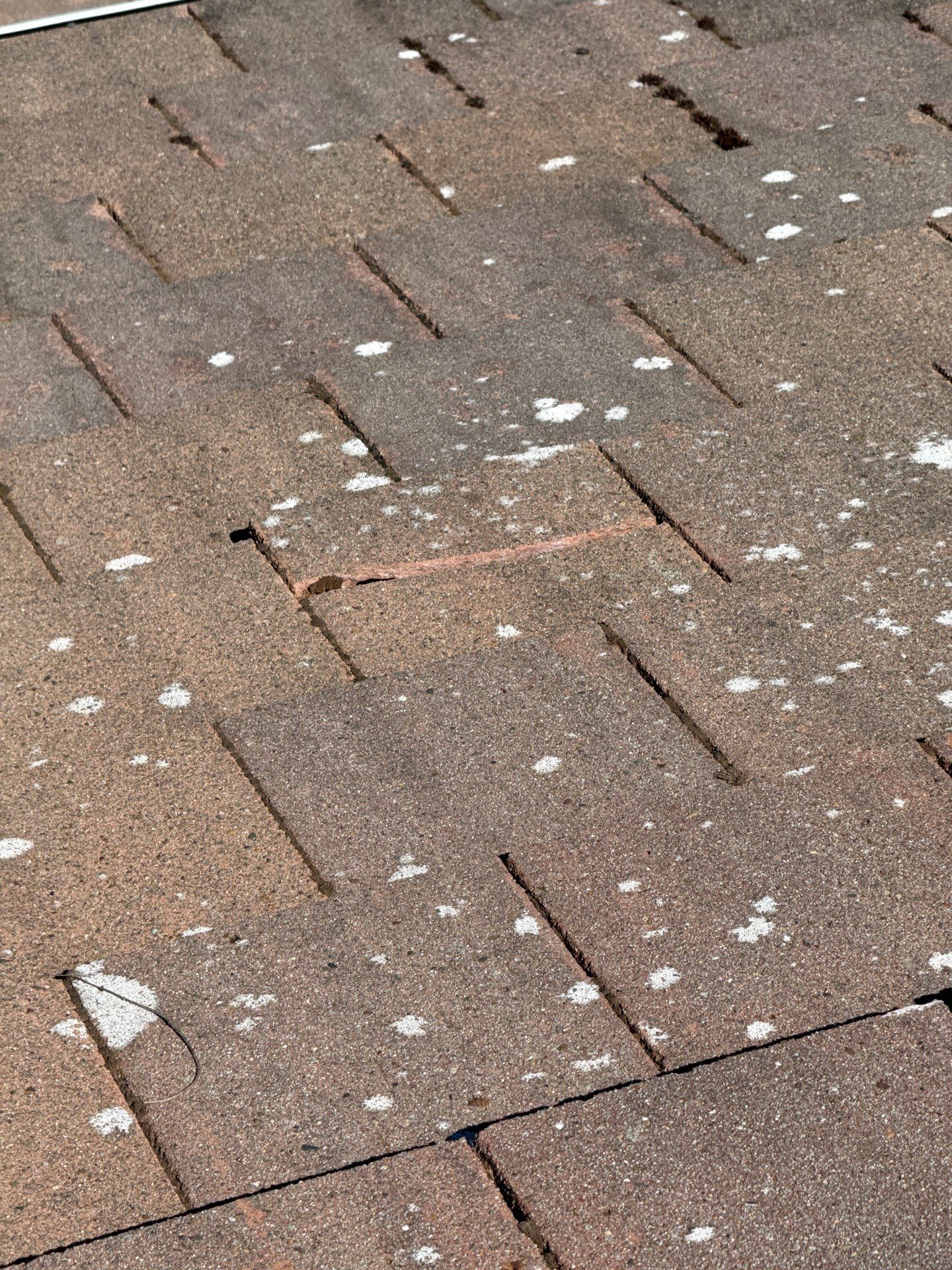 Project in Marysville by Connolly Construction Company