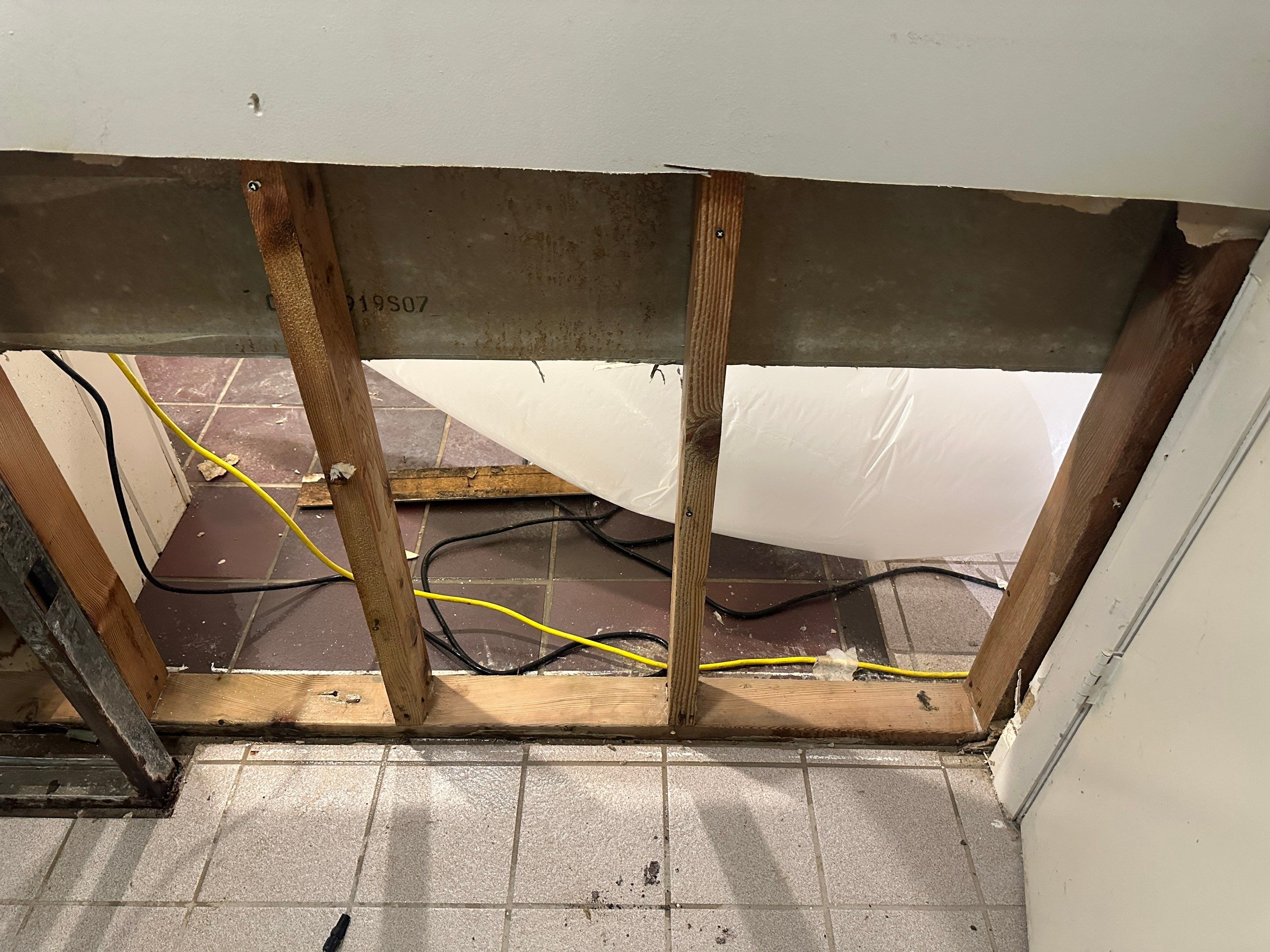 Basement Mold Remediation by Home Guarantee, LLC