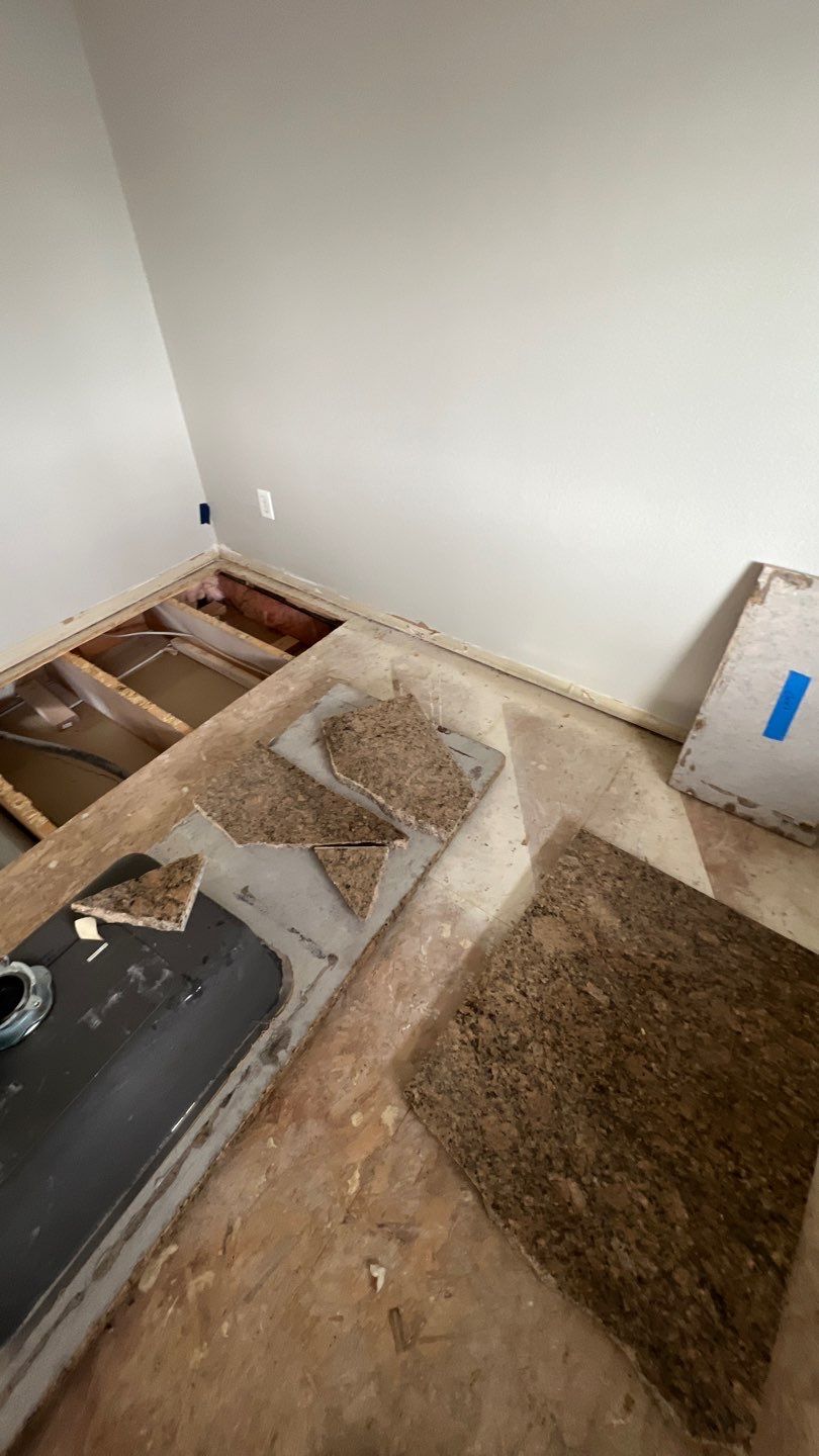 Mold Remediation by Accountable Home Services