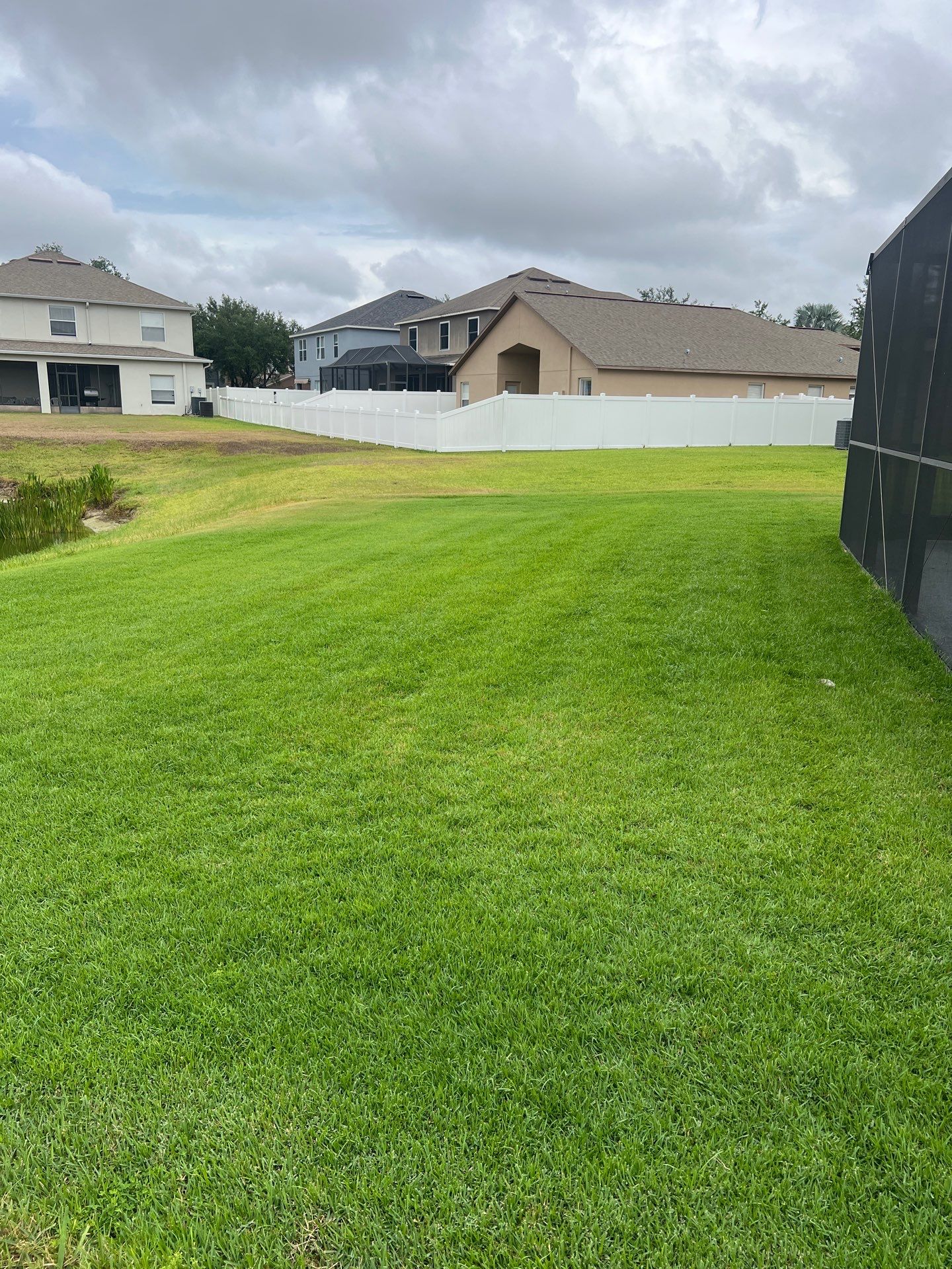 Zoysia Lawn Rehab by Green Flag Services