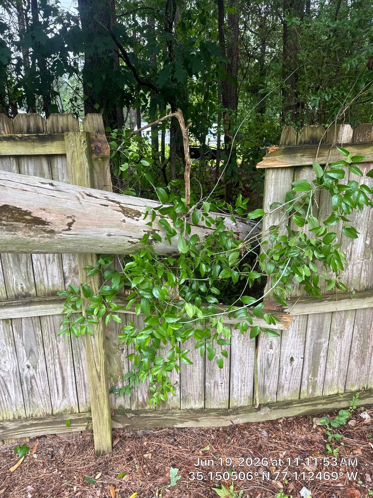 New Bern Roof Replacement Following Storm and Tree Damage by North Carolina Roofs