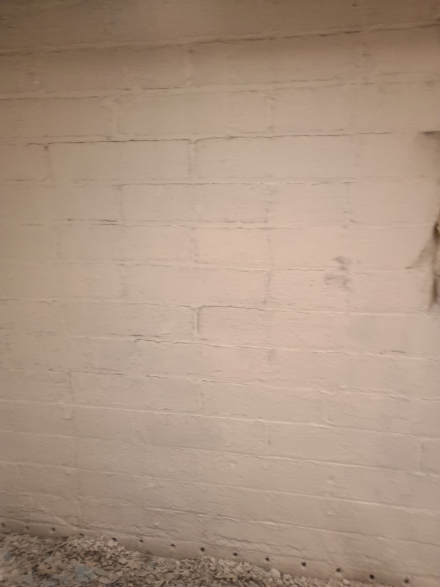 Investigating Groundwater Issues for RJ & Sally by Waterproofing Northeast