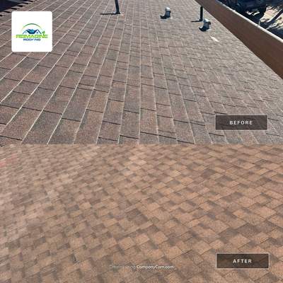 Shakewood Shingles