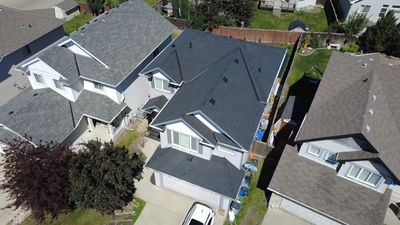 Shadow Black on Mystique