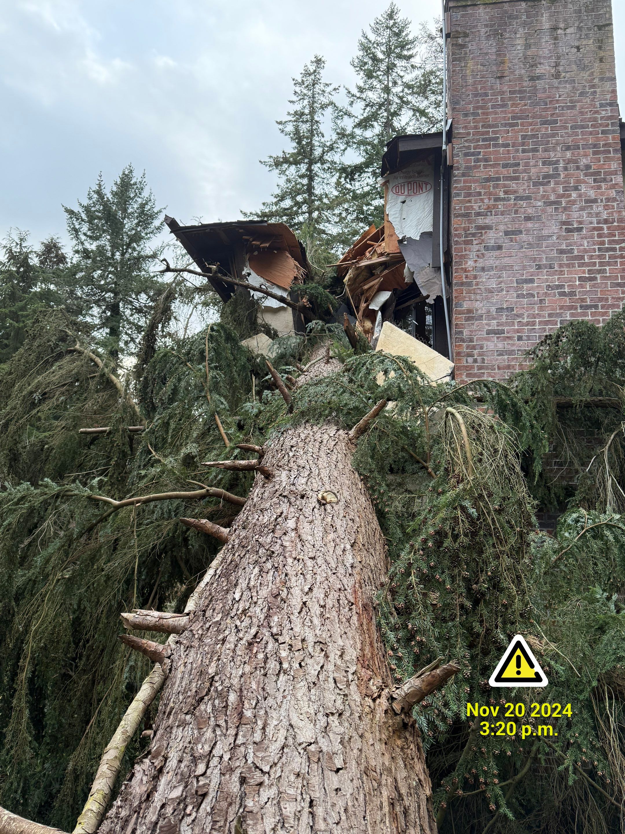 Emergency Tree Removal in Normandy Park ā Storm-Damaged Tree on Home (Nov 2024) by Sound Tree Care LLC