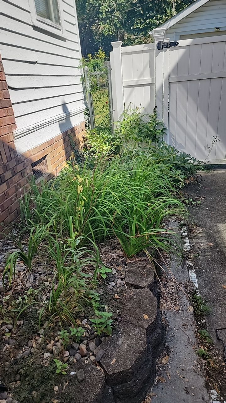 Total transformation! by GrassBusters, Inc.