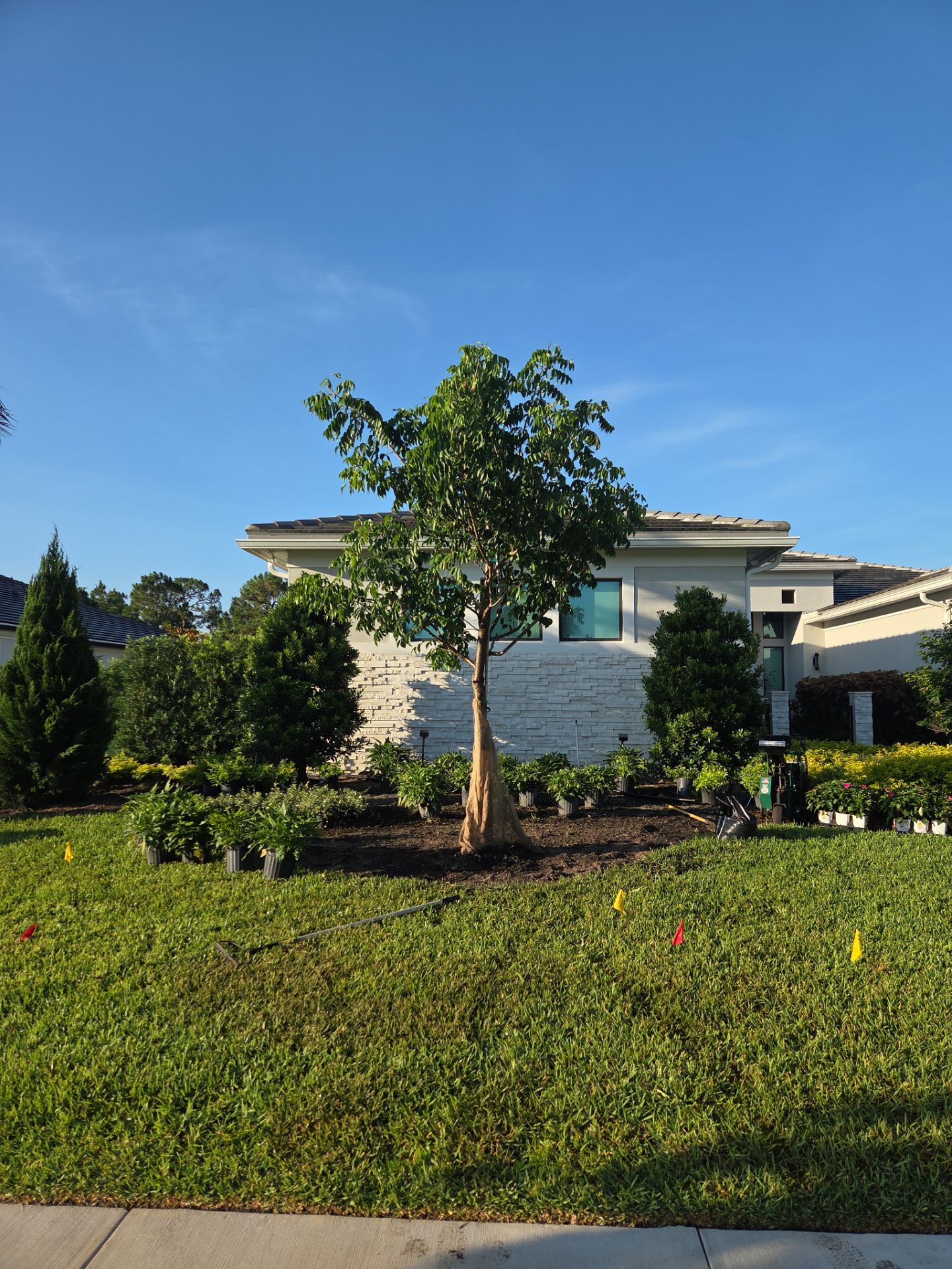 🌴✨ Canopy Creek Landscape Transformation! ✨🌿 by Alpha Zeta Enterprises Inc