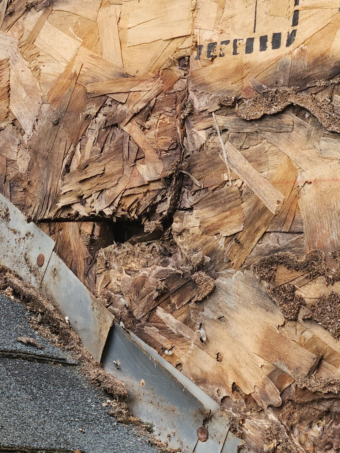 Siding | Methuen by Mighty Dog Roofing of Greater Middlesex County