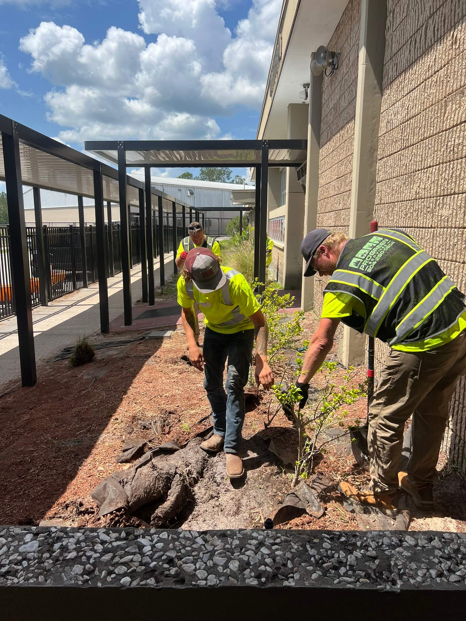 Landscape Install | Wilkinson JHS by ProGreen Services