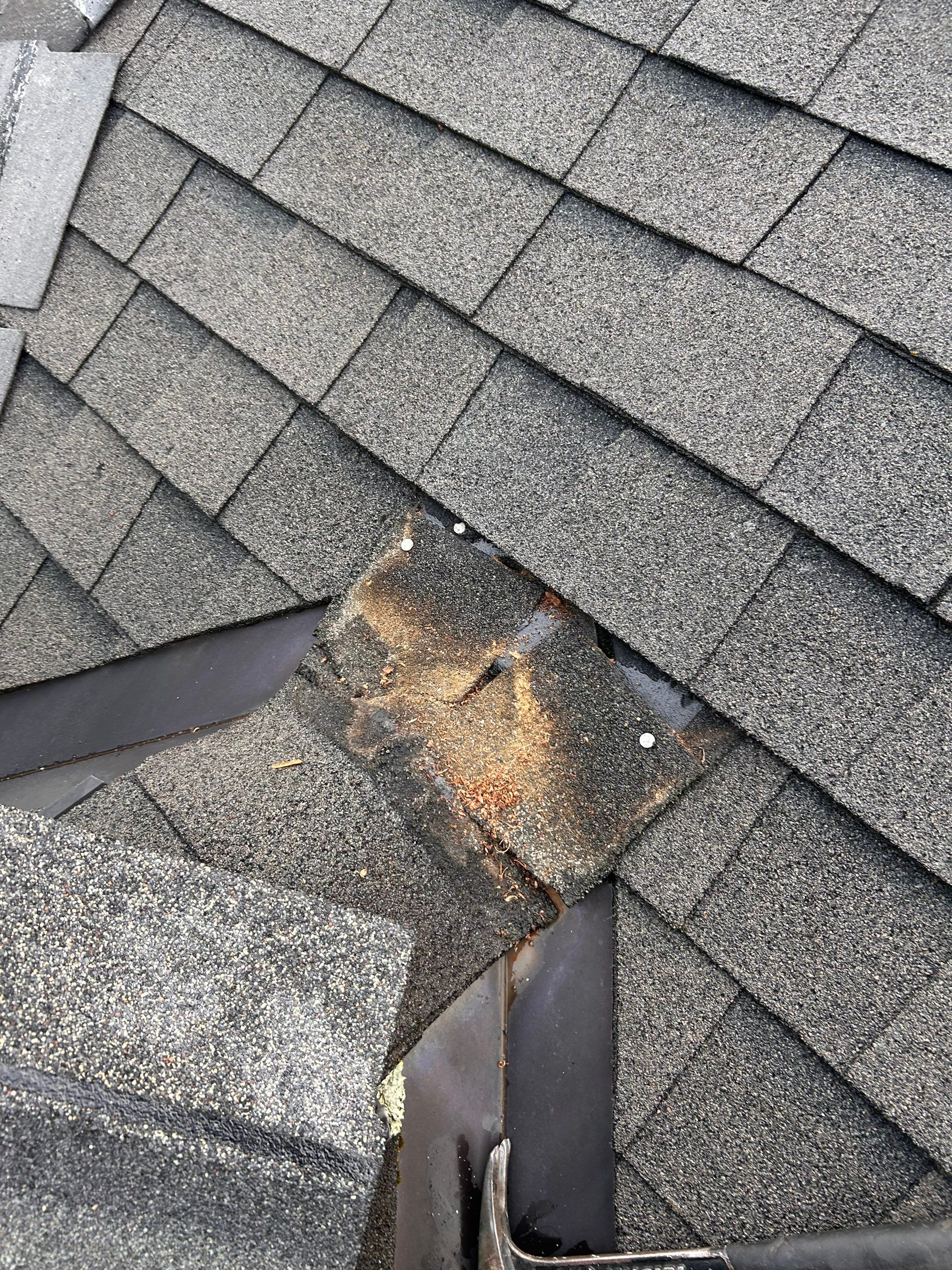 Roofing & Siding | Acton by Mighty Dog Roofing of Greater Middlesex County