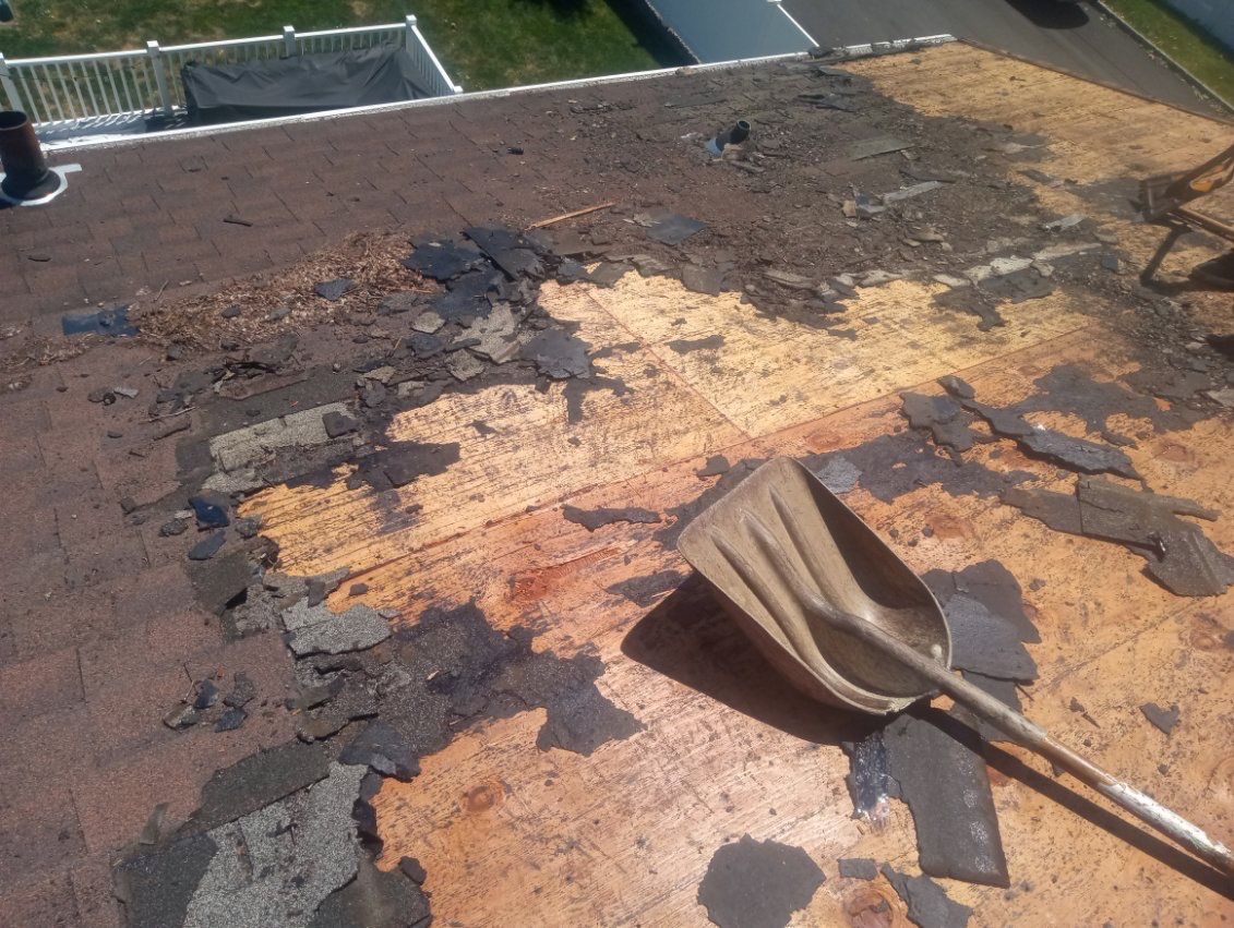Pewter Gray Shingles by Reimagine Roofing
