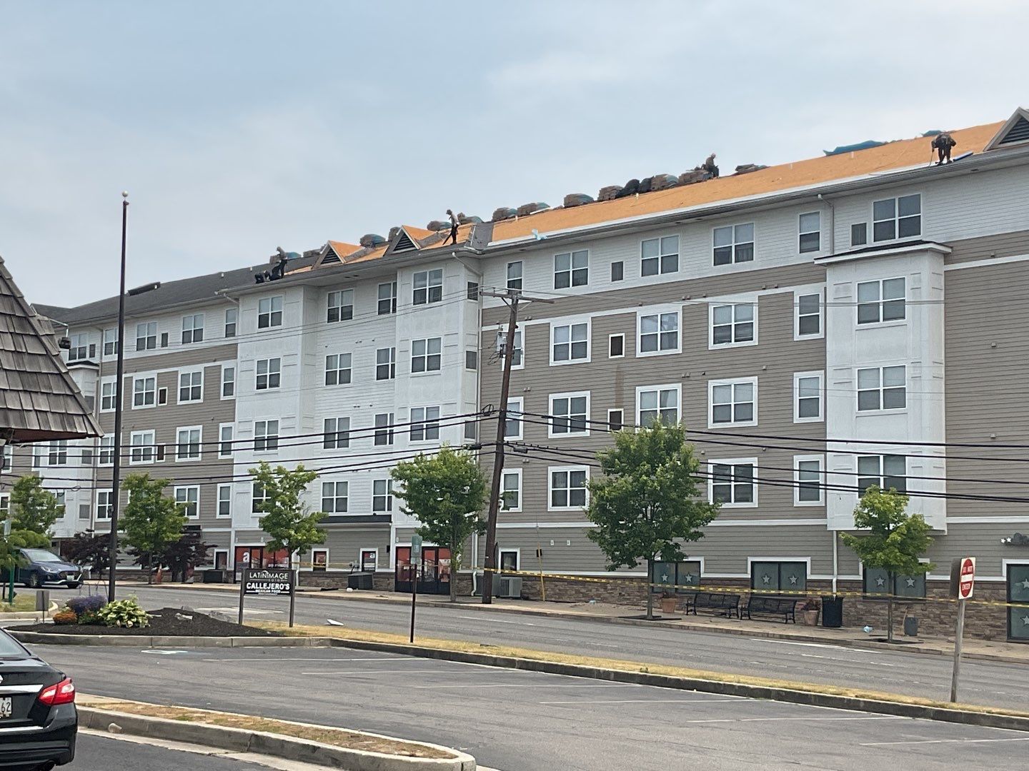 Multi-Family Commercial shingle roof by Alpha Design Services