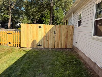 Framing the Perfect Backyard