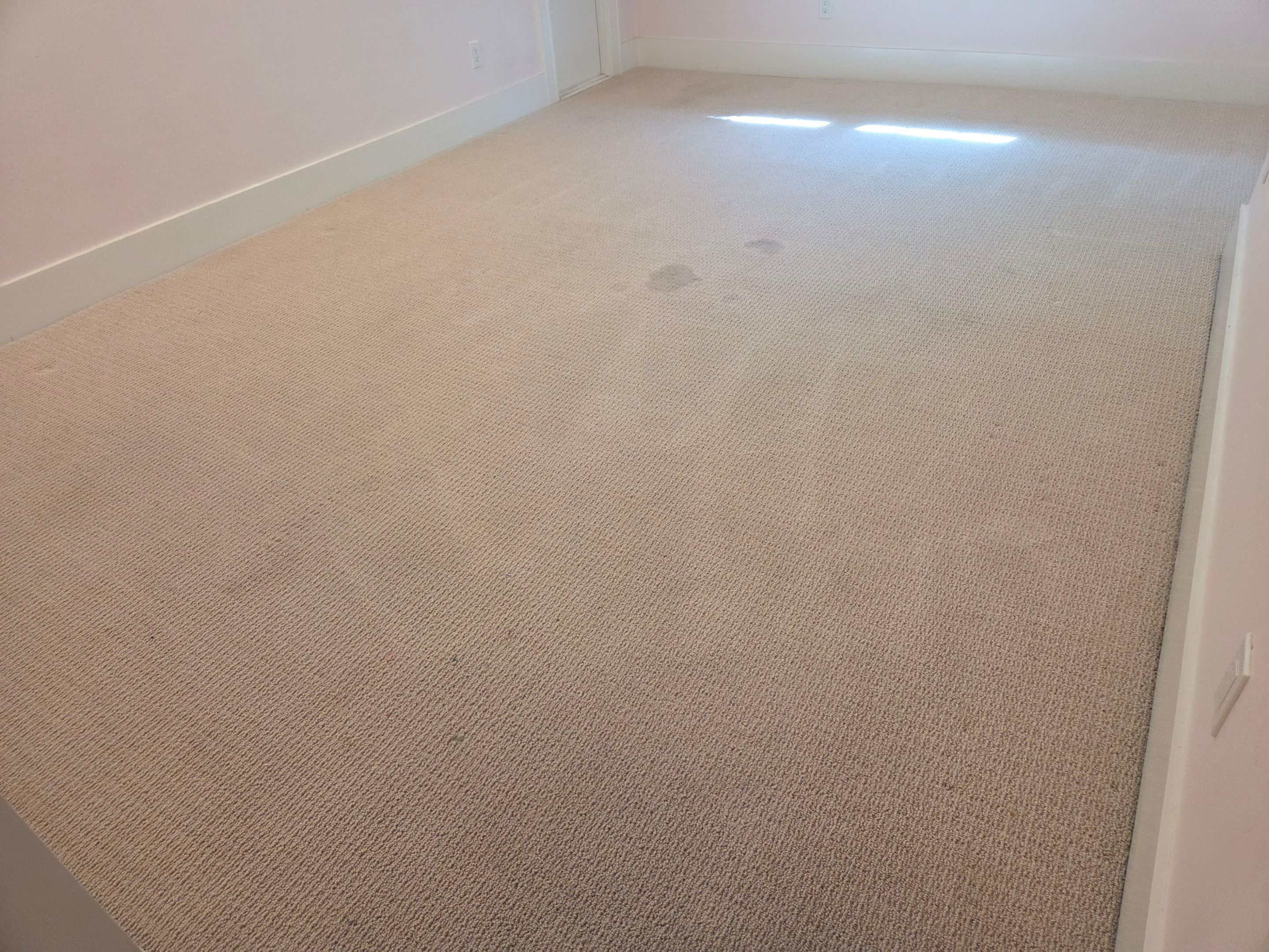 Heavy Carpet Clean with Imperfections by Ardent Carpet Restore LLC