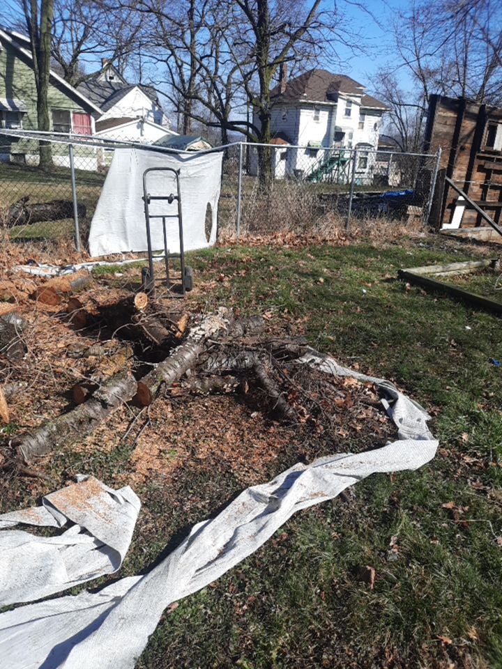 Tree Removal using Tree Removal by Mike Jones & Sons Tree Service LLC 