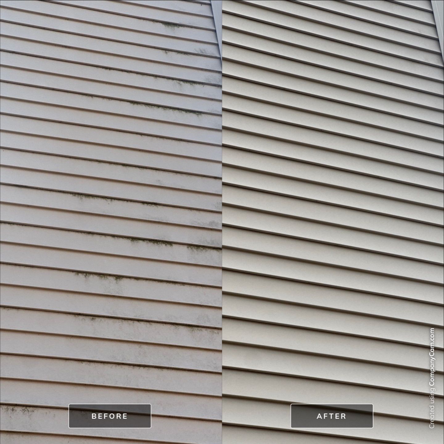 Project in Volo by Simmons Power & Soft Washing