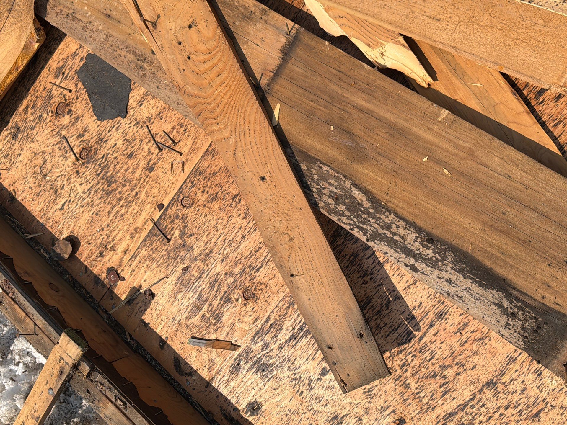 Boise Residential Roof Replacement Featuring Grey Architectural Shingles by Olive Roofing