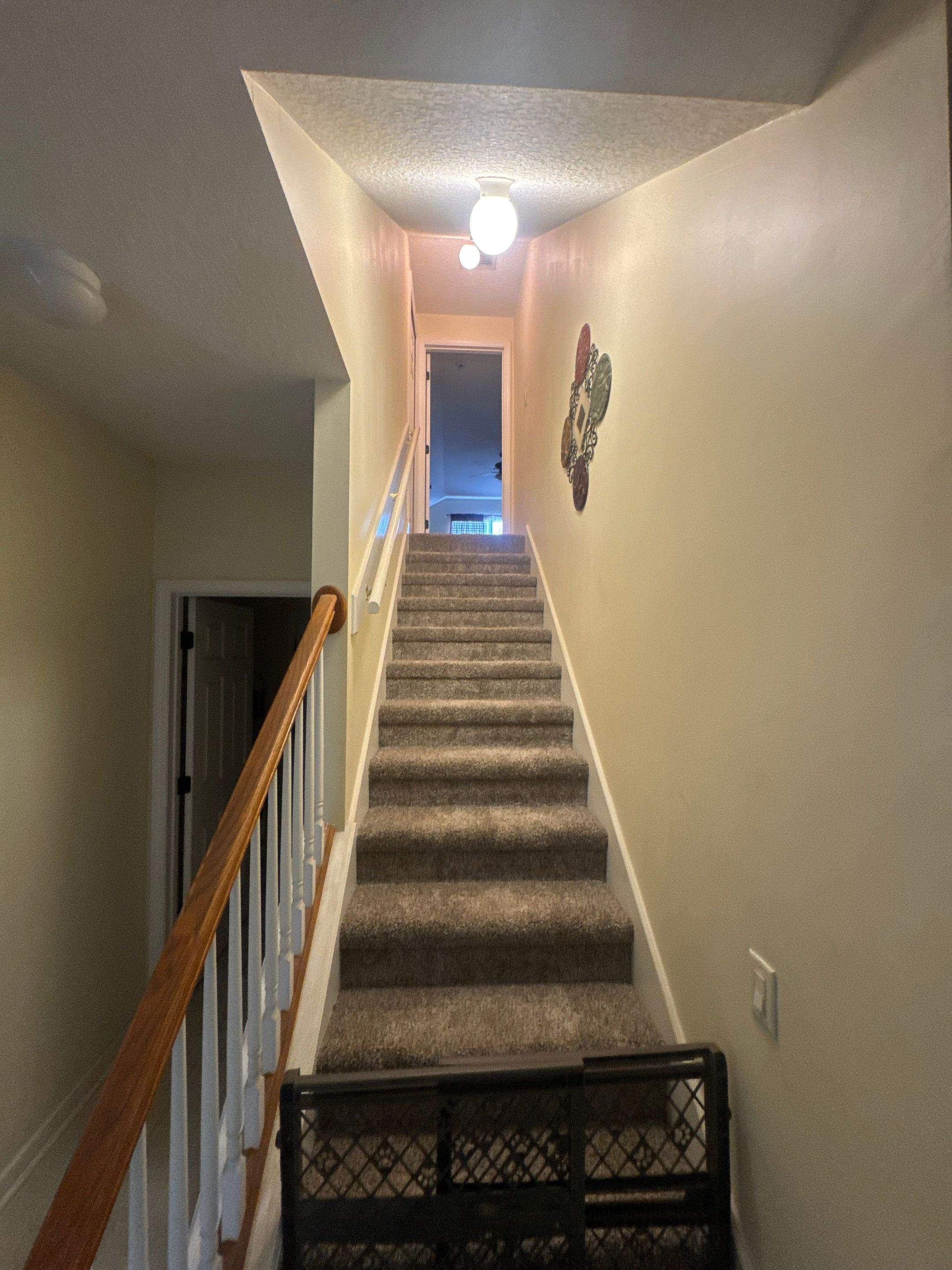 Project in Nocatee by Colorwise Painting