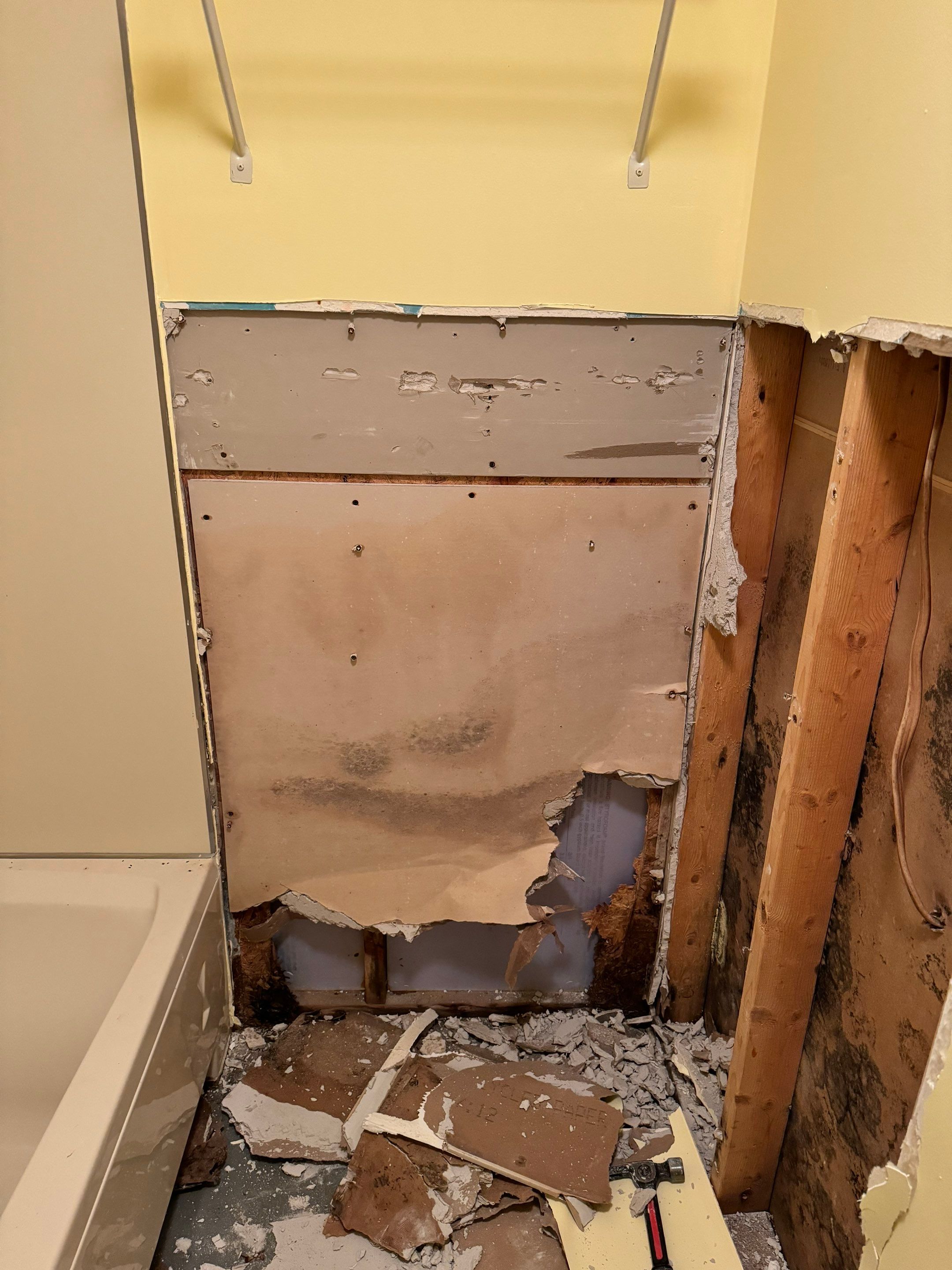 Mold Remediation using Home Guarantee by Home Guarantee, LLC
